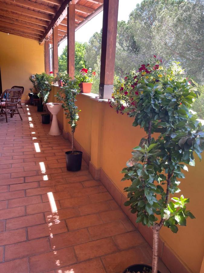 La Terrazza Dei Ciliegi Ξενοδοχείο Santa Maria Degli Angeli  Εξωτερικό φωτογραφία